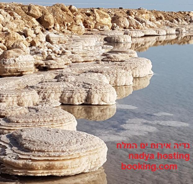 Nadia Hosting Dead Sea Vila Neve Zohar Exterior foto
