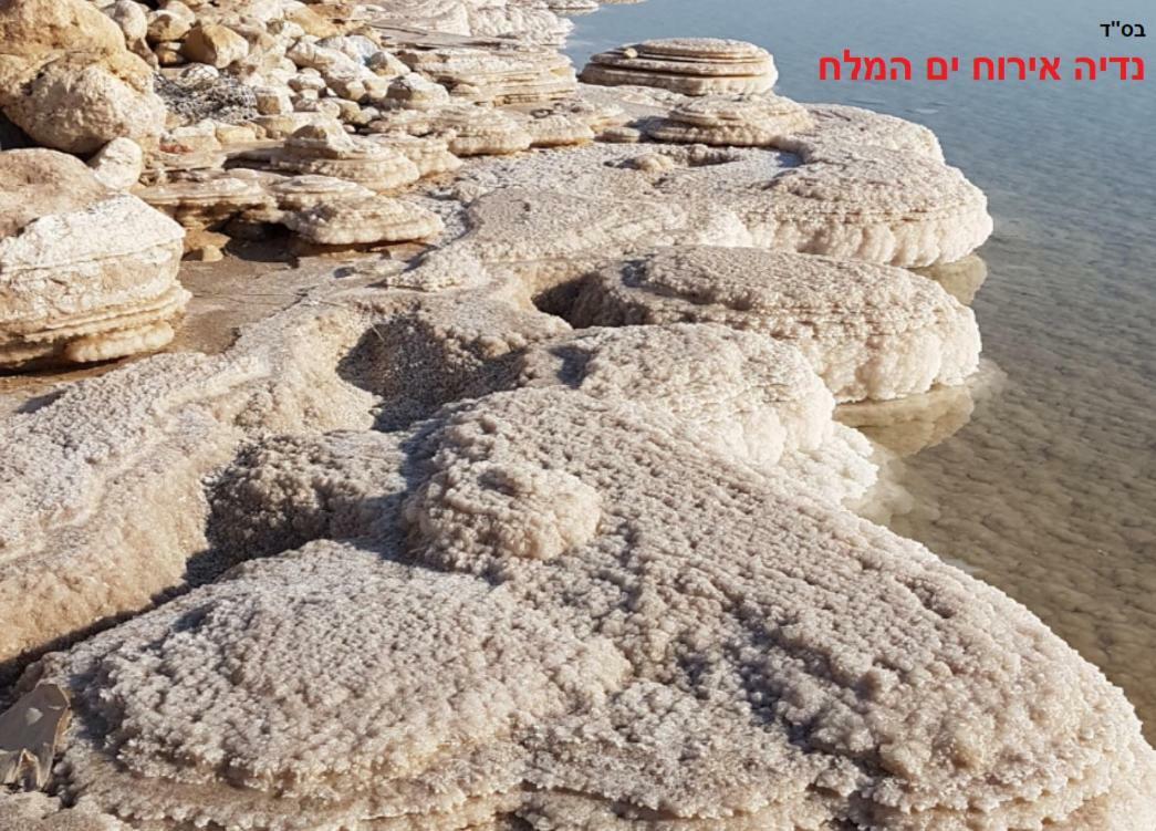 Nadia Hosting Dead Sea Vila Neve Zohar Exterior foto